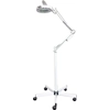 D Salon Adjustable Facial 5xMagnifying Lamp with Rolling Floor Stand, Eyelashes, Make-Up