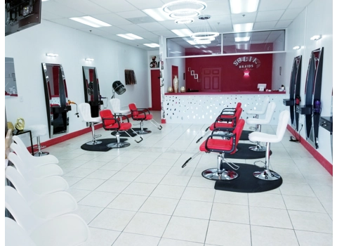 Red Styling Chair-Hair dryer-Wall mount Station-Modern Chairs, Salon Mats