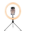 10” Ring light, Desktop LED ring light with tripod stand for Make-up, Facebook Live, Instagram Live, YouTube, Photography, TikTok