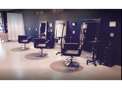 Hydraulic Comfort Styling Chair Spa Salon