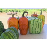 frankenstein pumpkin plastic mold made