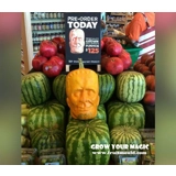 hot sale frankenstein pumpkins