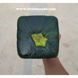 how to make Square shape pumpkins with..
