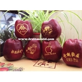 Fruit words printer