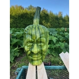 Clear Frankenstein pumpkin mold on sale