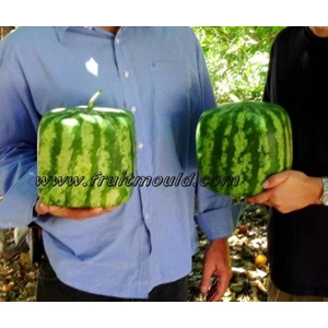 square watermelon on sale in many market