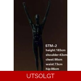 STM-2