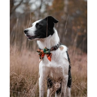 Squirrel Chaser Tartan SAILOR Dog Bow Tie