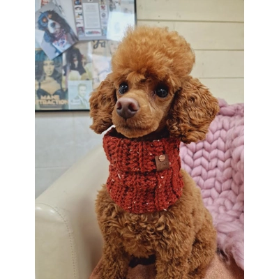 Rustic Tawny Owl Roll Top Dog Snood Rustic Tawny Owl Roll Top Dog Snood