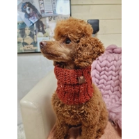 Rustic Tawny Owl  Roll Top Dog Snood
