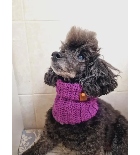 Plum Pudding Roll Top Dog Snood