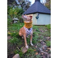 Rusty Bear Dog Harness