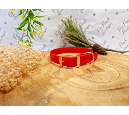 RED Biothane Dog Collar - Optional Fittings