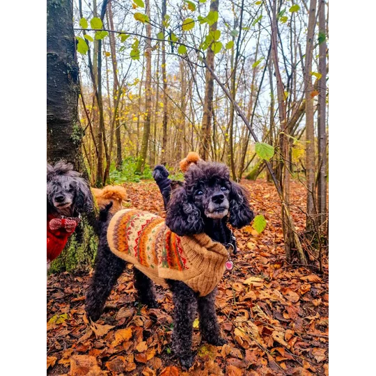 Fair Isle Finn Alpaca Wool Dog Jumper - Alqo Wasi