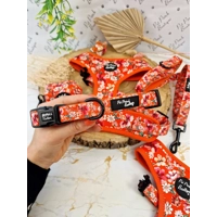 Sweet Marmalade Blossom Floral Dog Collar- Optional Flower Accessory