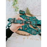 Cheeky Monkey Dog Collar