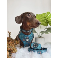 Cheeky Monkey Dog Collar