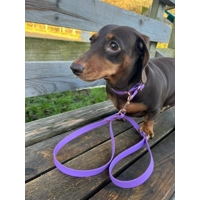 Amethyst Purple Biothane Dog Lead