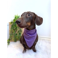 Purple Revival Polka Dot Dog Bandana