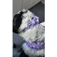 Lucky Little Lavender Daisies Dog Collar- Optional Flower Accessory