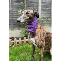 Purple Revival Polka Dot Dog Bandana