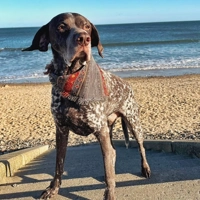 Frayed Ancient Grey Sunrise Bandana - Scamps