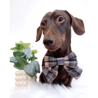Pebble Chaser Plaid SAILOR Dog Bow Tie