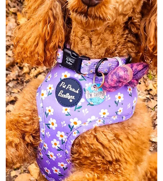 Rosie Rose Custom ID Dog Tag - NEW STYLE