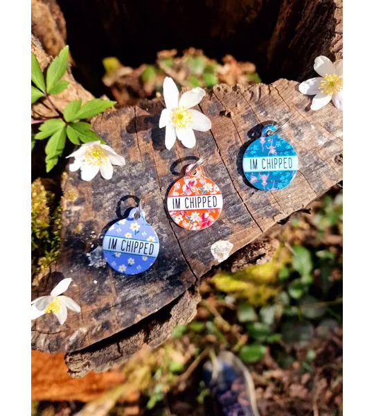 Cheeky Monkey Custom ID Dog Tag - NEW STYLE