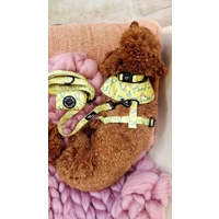 Zesty Butter Meadows Floral Dog Harness