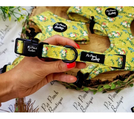 Zesty Butter Meadows Floral Dog Collar