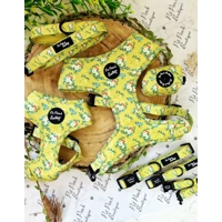 Zesty Butter Meadows Floral Dog Lead - Reversible