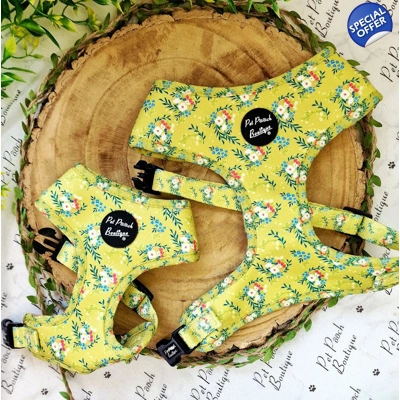 Zesty Butter Meadows Floral Dog Harness
