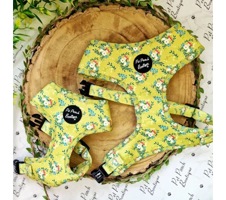 Zesty Butter Meadows Floral Dog Harness