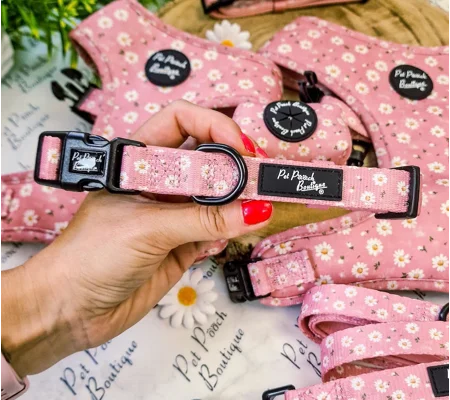 Dusky Pink Daisies Floral Dog Collar