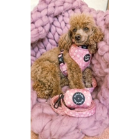 Dusky Pink Daisies Floral Dog Lead - Reversible