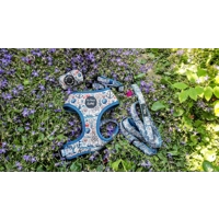 Shipwrecked Nautical Dog Collar