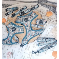 Shipwrecked Nautical Dog Lead - Reversible