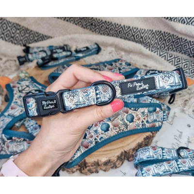 Shipwrecked Nautical Dog Collar Shipwrecked Nautical Dog Collar
