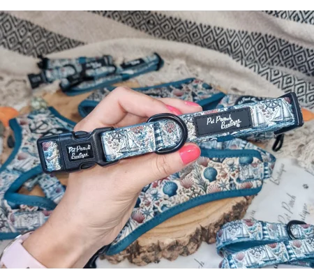 Shipwrecked Nautical Dog Collar