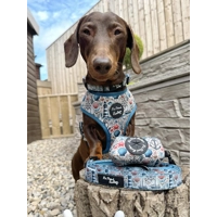 Shipwrecked Nautical Dog Lead - Reversible