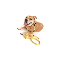 Sunshine Daisy Lead - Reversible