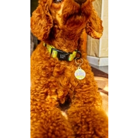 Zesty Butter Meadows Custom ID Dog Tag - NEW STYLE