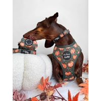 Harvest Pumpkin Patch Dog Poo Bag Holder