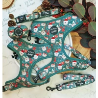 Jolly Bear Christmas Dog Lead - Reversible