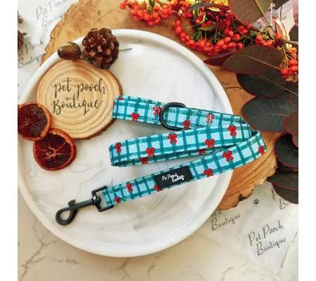 Festive Plaid Christmas Dog Lead - Reversible