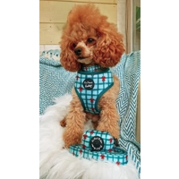 Festive Plaid Christmas Dog Collar