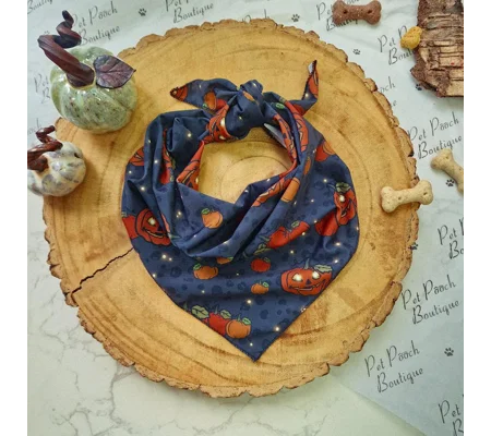 Midnight Pumpkin Dog Bandana