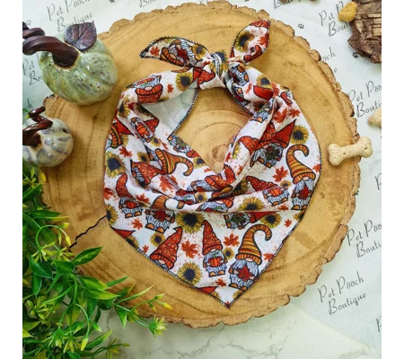 Pumpkin Gnomes Bandana