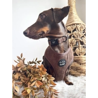 Coffee Bean Cord Dog Collar